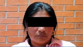 Foto de una mujer detenida con una pared de ladrillo al fondo.