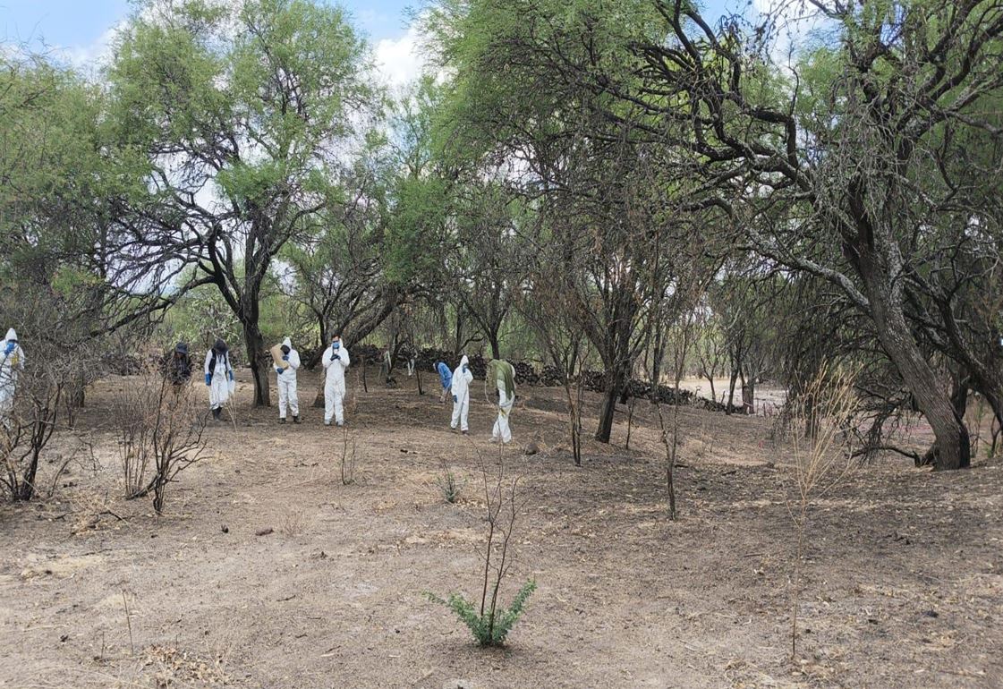 Fiscalía de Jalisco extenderá por kilómetros el rastreo forense tras localizar fosa en Lagos de Moreno y recurre a catastro para localizar al dueño del predio.