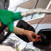Por qué no cambiar entre gasolina verde y roja, esto dice experta