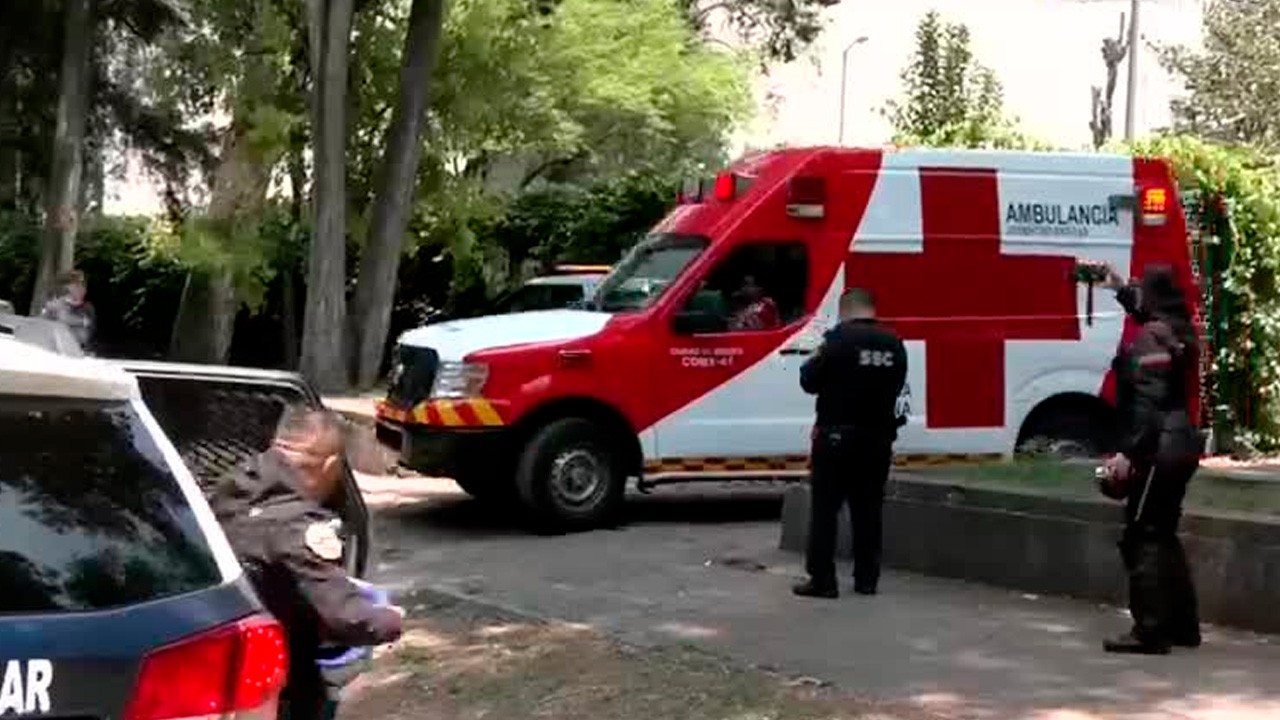 Un trabajador murió tras sufrir una caída mientras realizaba labores de poda en los jardines internos del Museo Nacional de Antropología.