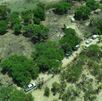 Fiscalía de Jalisco extenderá por kilómetros el rastreo forense tras localizar fosa en Lagos de Moreno y recurre a catastro para localizar al dueño del predio.