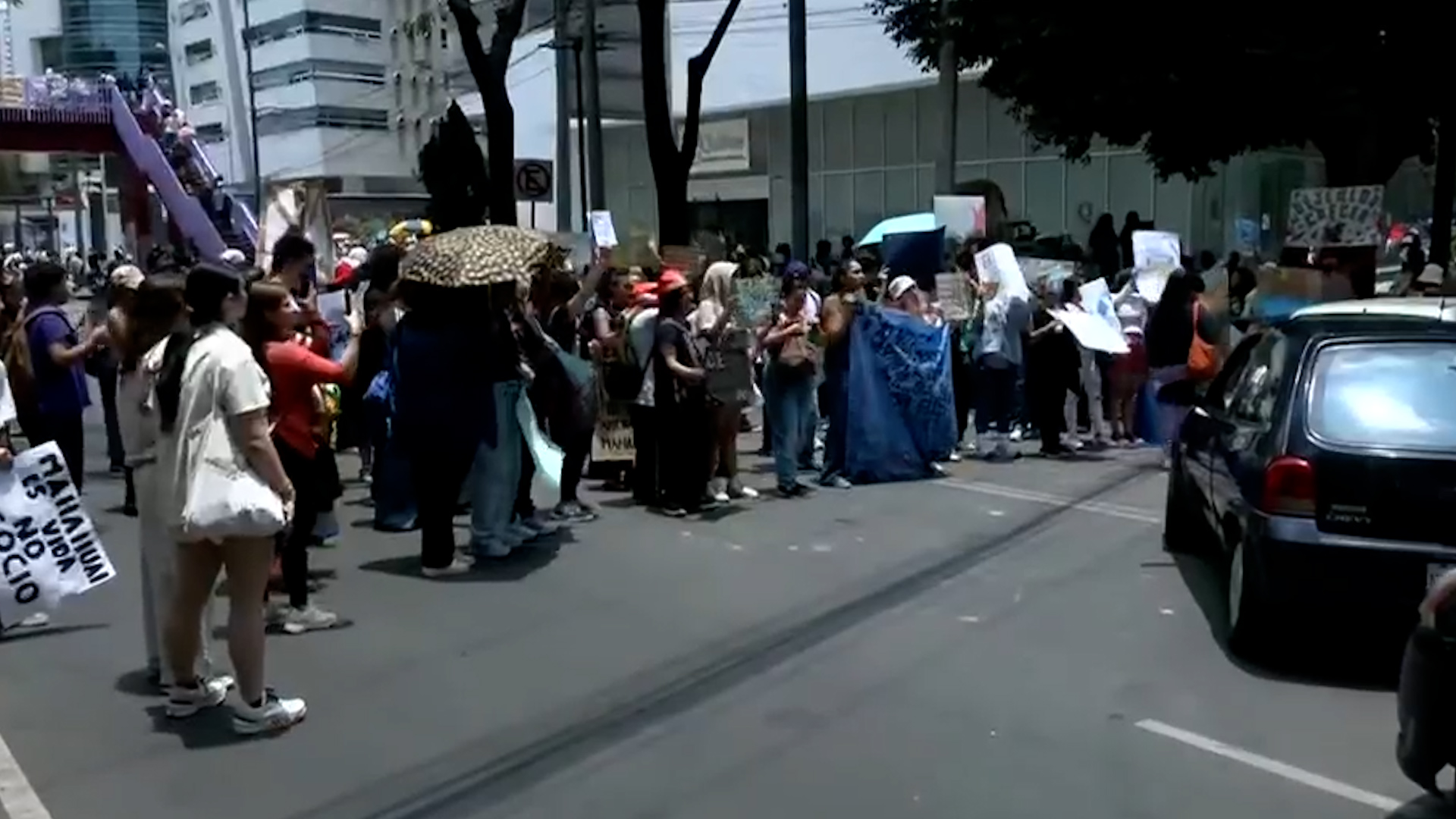 Reportan bloqueo total en Ejército Nacional frente a la Semarnat. Jóvenes ambientalistas protestan por proyecto en Mahahual.