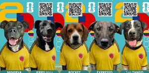 Buscan apoyar la adopción responsable.