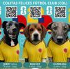 Buscan apoyar la adopción responsable.