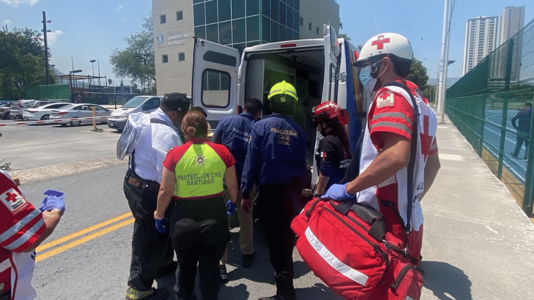 Un hombre de 73 años murió y dos personas resultaron heridas tras el ataque de un enjambre en Santiago. Familiares acusan abandono de las autoridades.