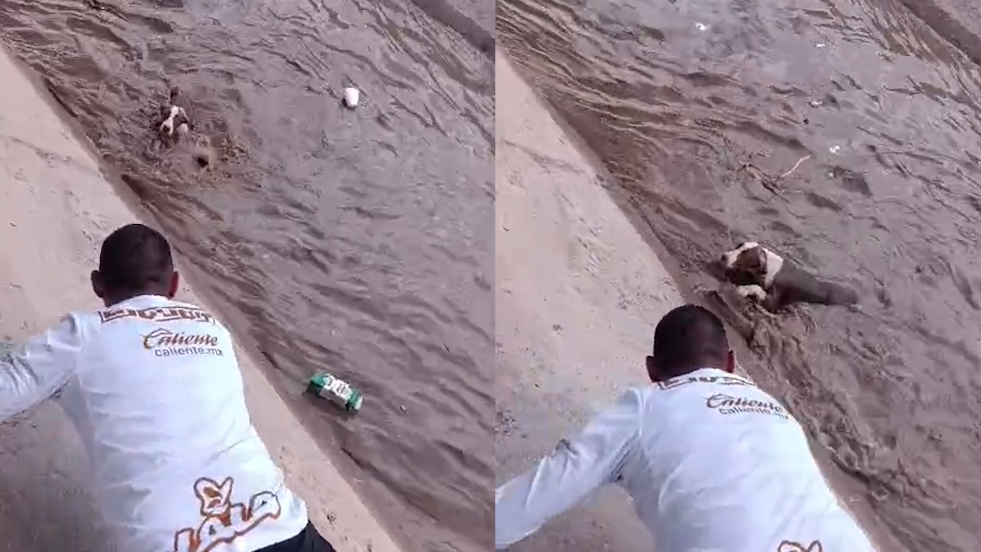 El can fue arrastrado por un tramo considerable; sus patas no lograban sujetarse del concreto resbaladizo debido a la fuerza del agua por los riegos de auxilio.