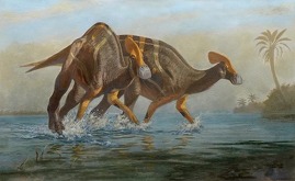 Coahuila esconde especies únicas de dinosaurios halladas en General Cepeda, Sabinas y Ocampo.
