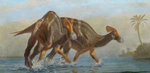 Coahuila esconde especies únicas de dinosaurios halladas en General Cepeda, Sabinas y Ocampo.
