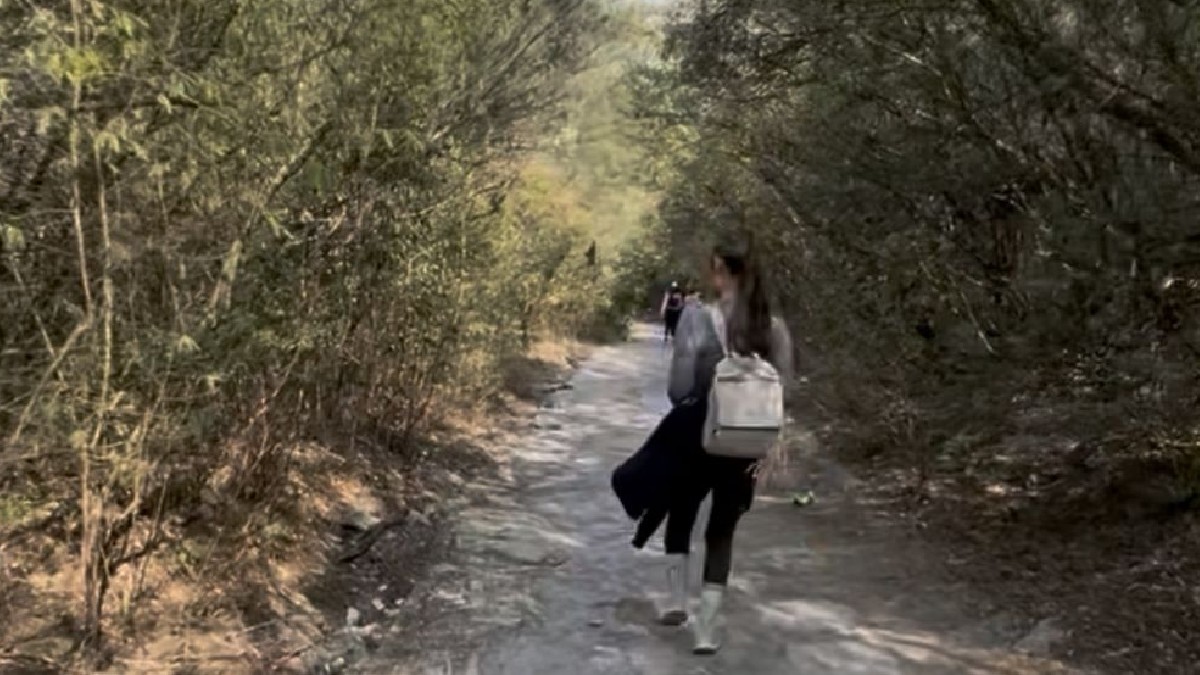 Camino de terracería para senderismo