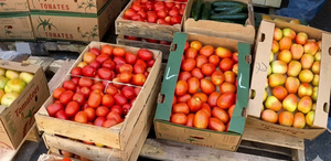 El precio del tomate mantiene presión sobre restaurantes, mercados y familias que buscan opciones más económicas.