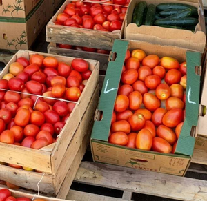 El precio del tomate mantiene presión sobre restaurantes, mercados y familias que buscan opciones más económicas.