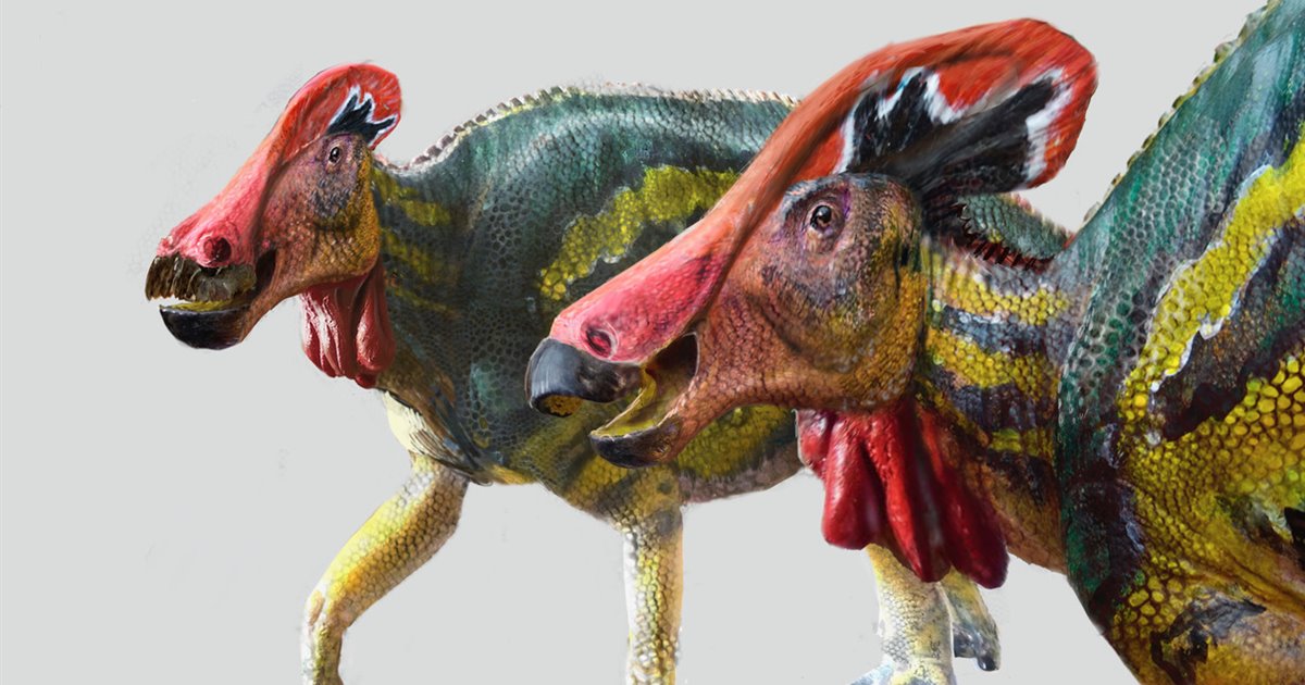 Coahuila esconde especies únicas de dinosaurios halladas en General Cepeda, Sabinas y Ocampo.