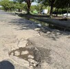 Vecinos cerca del Estadio Monterrey denunciaron falta de información y deterioro urbano rumbo al Mundial 2026.