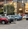 Autoridades investigan el asesinato de Polito en Metepec.