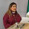 El Comité Ejecutivo Estatal de Morena aseguró que Nuevo León ya es de ideología política de izquierda.