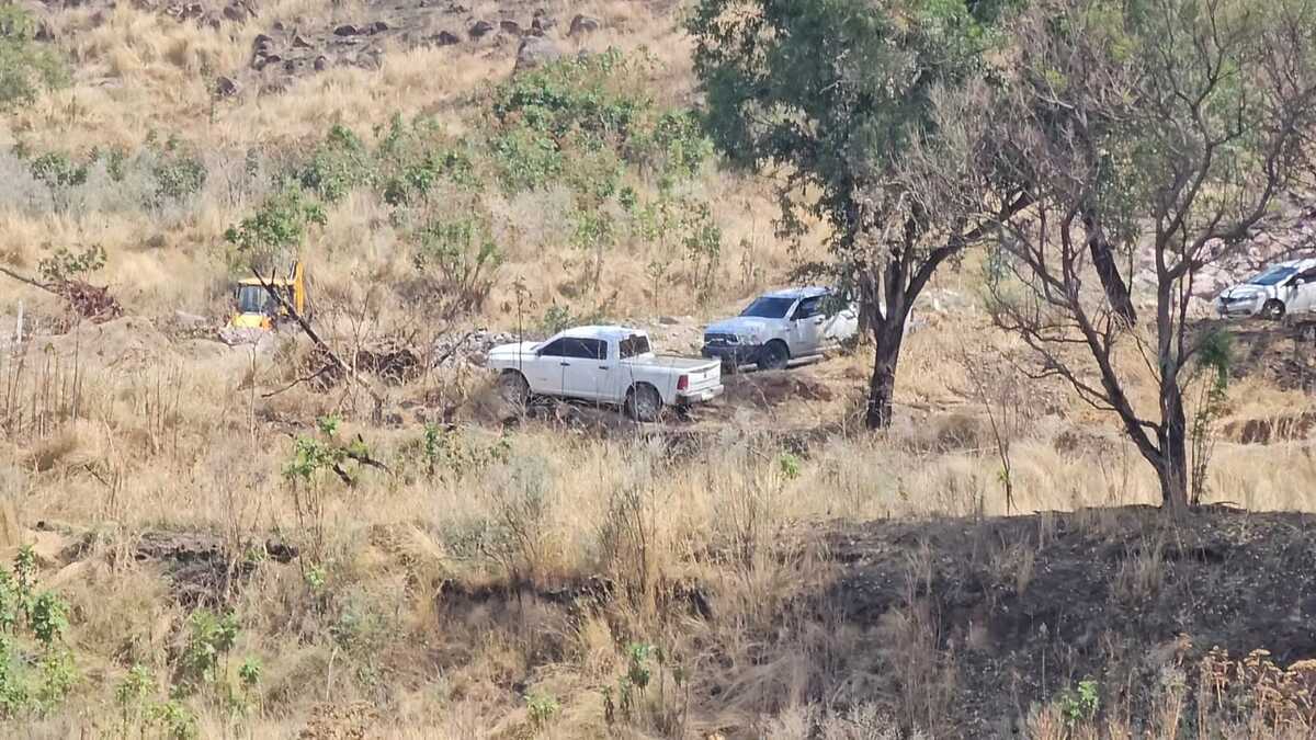 Camioneta en pastizal
