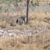 Sierra con dos personas en ella
