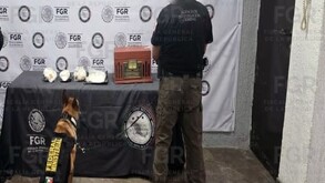 Perrito con policía