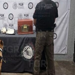 Perrito con policía