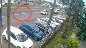 Perro ocasiona carambola en la carretera Veracruz-Xalapa