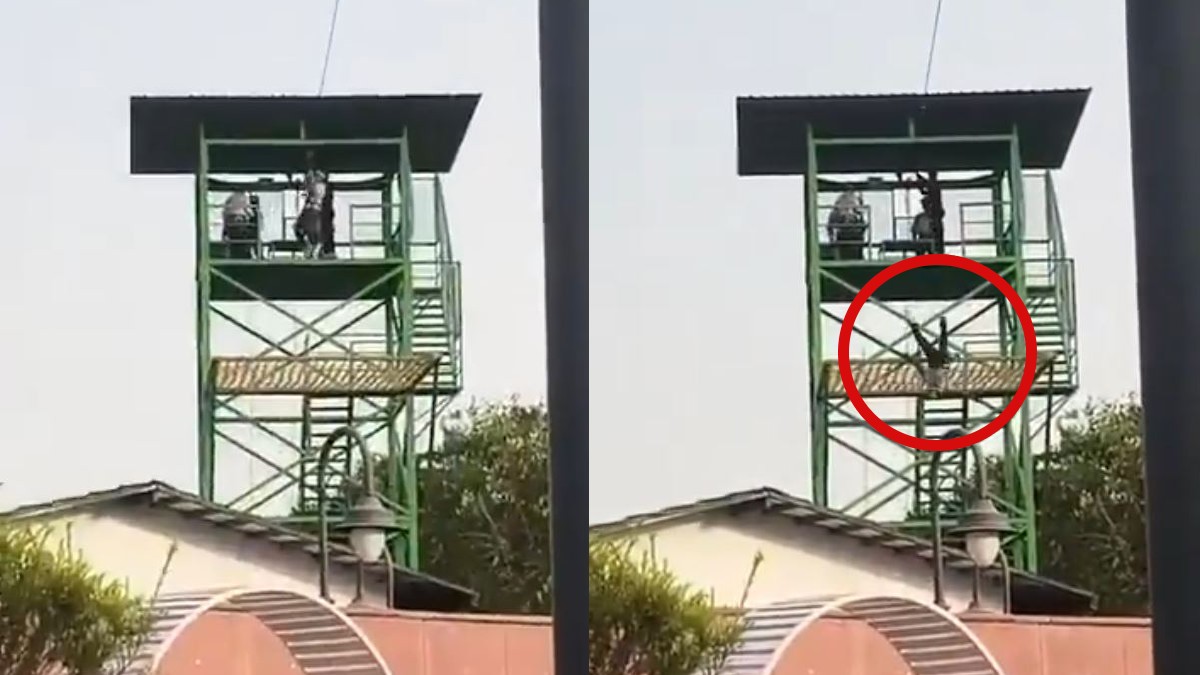 Capturas de pantalla de un video donde se ve a un menor cayendo de la torre de una tirolesa en un parque de atracciones en la India