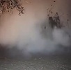 Un nuevo géiser entró en erupción de forma repentina dentro de una vivienda en El Salitre, Ixtlán. Protección Civil ya evalúa los riesgos.