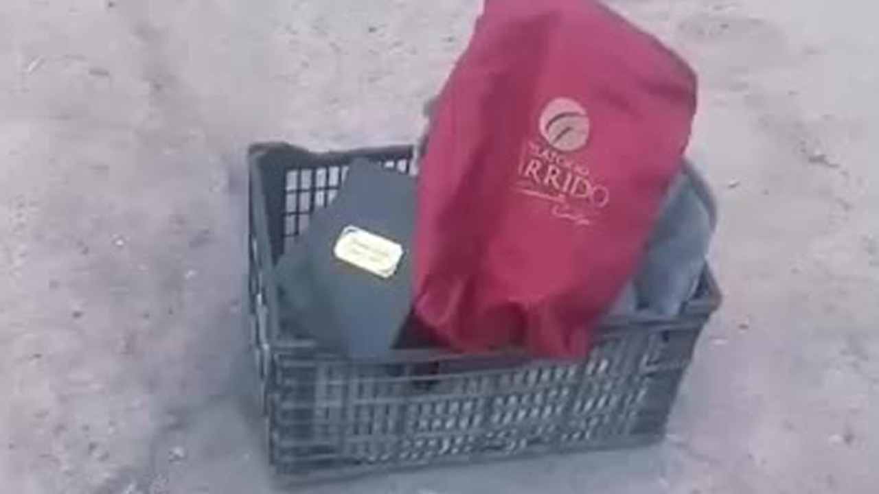 Una tarde que parecía transcurrir con normalidad en la colonia Cerro de la Cruz se vio interrumpida por un inusual y macabro descubrimiento.