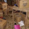 Cartones de cerveza y un altar hallados en una excavación.