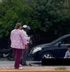 Atropellado en Gómez Palacio