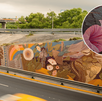 el mural 42 Acorde perpetuo del programa Trazos mundialistas esta en exposición en el municipio de Guadalupe Nuevo León