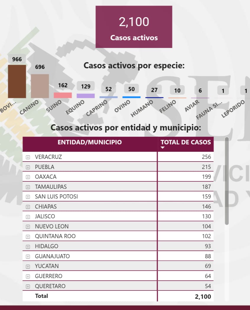 cifras de casos activos por gusano barrenador en México
