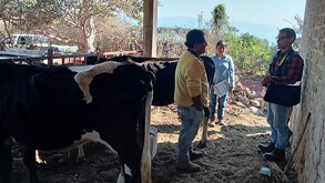 La Secretaría de Salud de Jalisco confirmó el primer caso humano de gusano barrenador en Pihuamo. El paciente está estable y bajo cerco sanitario.