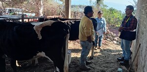 La Secretaría de Salud de Jalisco confirmó el primer caso humano de gusano barrenador en Pihuamo. El paciente está estable y bajo cerco sanitario.