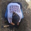 Integrantes de Desaparecidos sin Justicia hallaron dos cráneos y prendas en el patio de una casa abandonada en el fraccionamiento Olivos 2. Conoce los detalles.