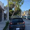 Se observa una cinta amarilla de precaución, unas viviendas y unos carros estacionados.