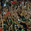 Afición mexicana haciendo la Ola durante un partido de la Selección Nacional.