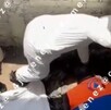 Sepultan a presunto narcomenudista bajo mesas de fondita; familia confiesa el crimen