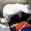 Sepultan a presunto narcomenudista bajo mesas de fondita; familia confiesa el crimen