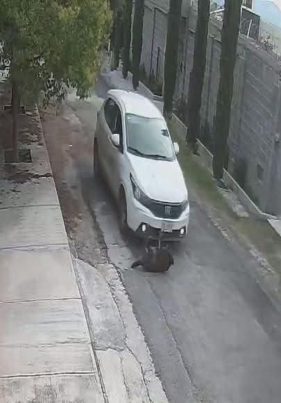 A través de la cámara de seguridad se observa cuando el conductor ingresa a una vivienda ubicada sobre la misma calle.