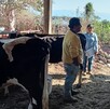 La Secretaría de Salud de Jalisco confirmó el primer caso humano de gusano barrenador en Pihuamo. El paciente está estable y bajo cerco sanitario.