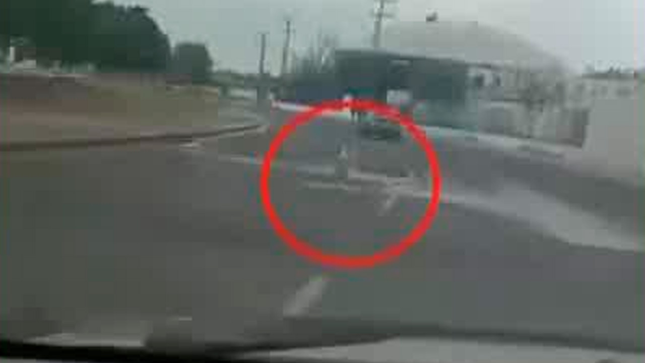 Un presunto caso de abandono animal generó indignación en Querétaro, luego de que un automovilista fuera captado dejando a un perro.