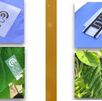 sensores biodegradables 