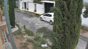 Se observa un carro color blanco y un perrito color negro que va caminando sobre la calle.