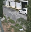 Se observa un carro color blanco y un perrito color negro que va caminando sobre la calle.