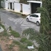 Se observa un carro color blanco y un perrito color negro que va caminando sobre la calle.
