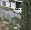 Se observa un carro color blanco y un perrito color negro que va caminando sobre la calle.