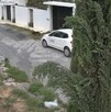Se observa un carro color blanco y un perrito color negro que va caminando sobre la calle.