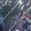 Video del asesinato de 'El 11' en la GAM