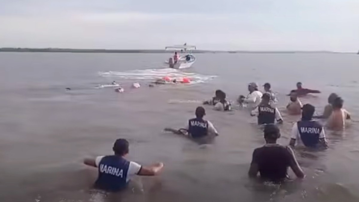 Pescadores y elementos de la Marina realizan rescate de un cetáceo en playa de Nayarit