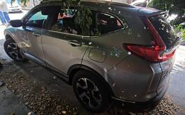 Camioneta gris